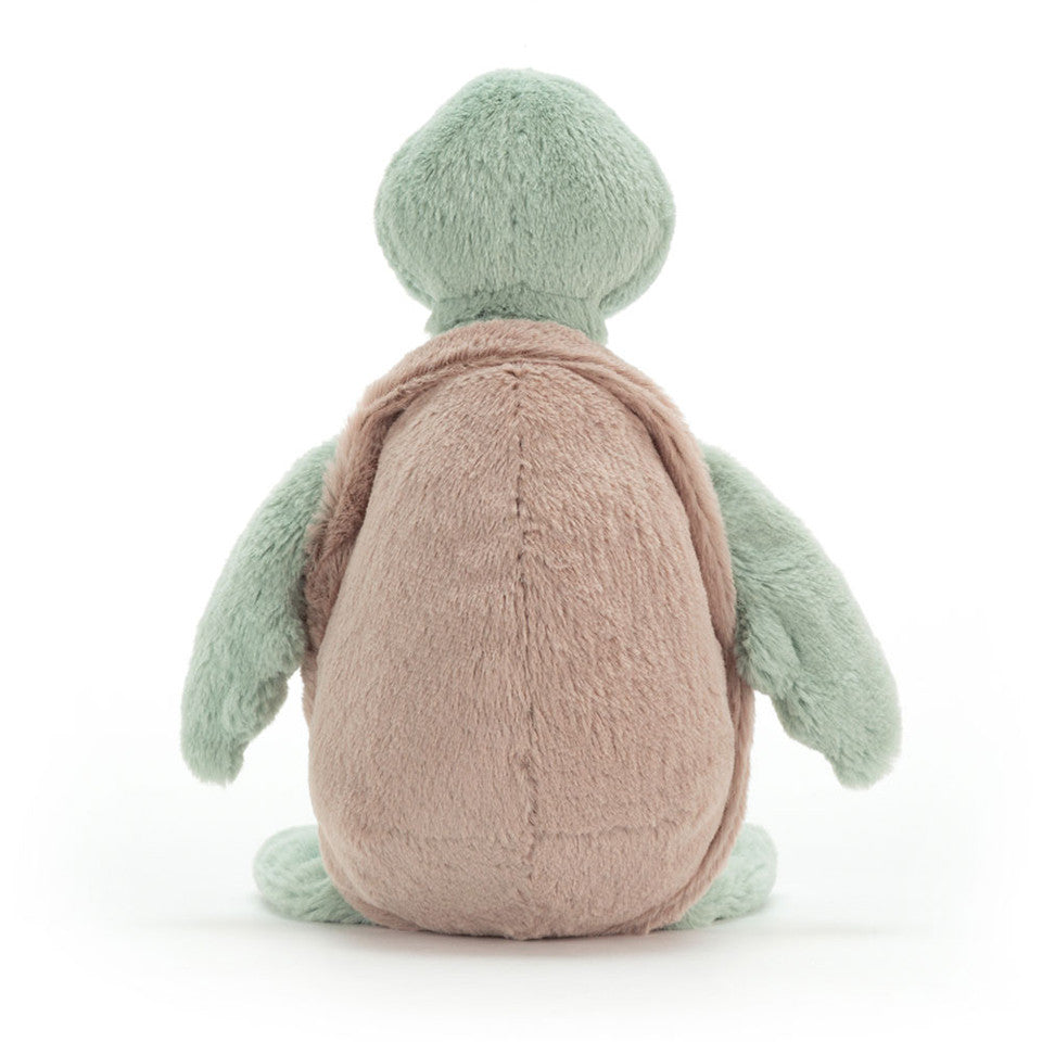 Bashful Turtle | Medium