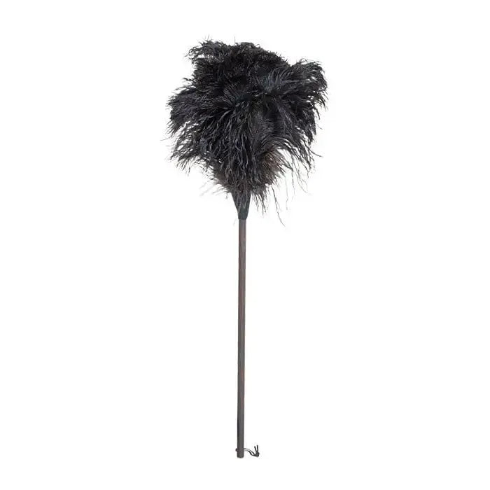 A long-handled ostrich feather duster with black feathers and a dark metal handle, shown against a plain white background.