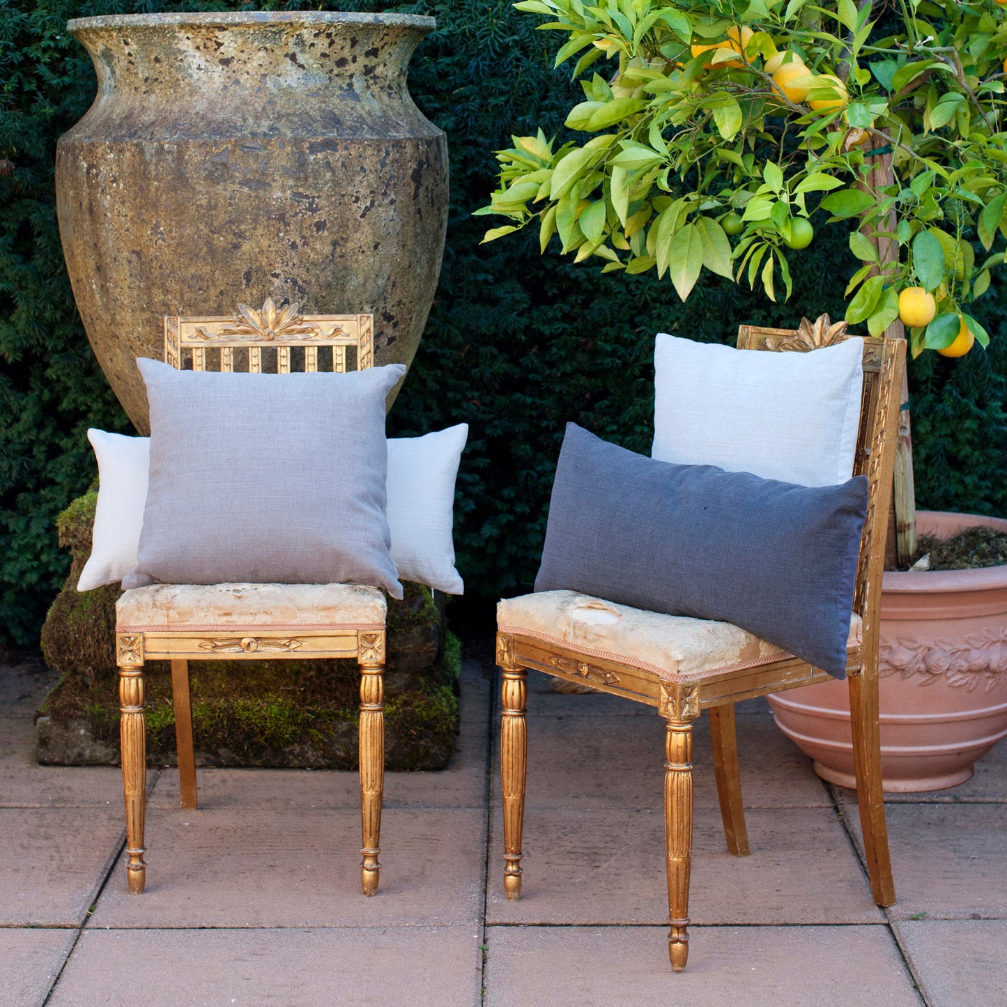St Genève | Cuscino Cushion