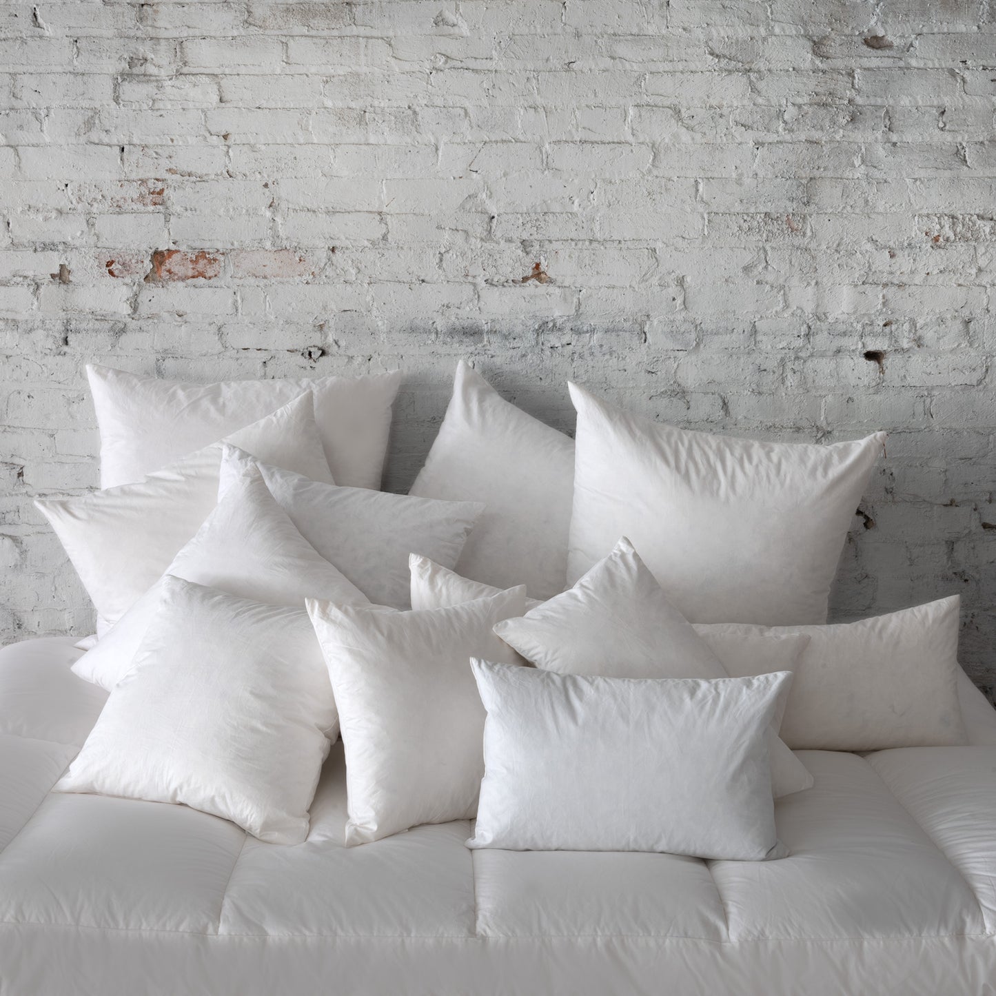 St Genève | Cushion Forms