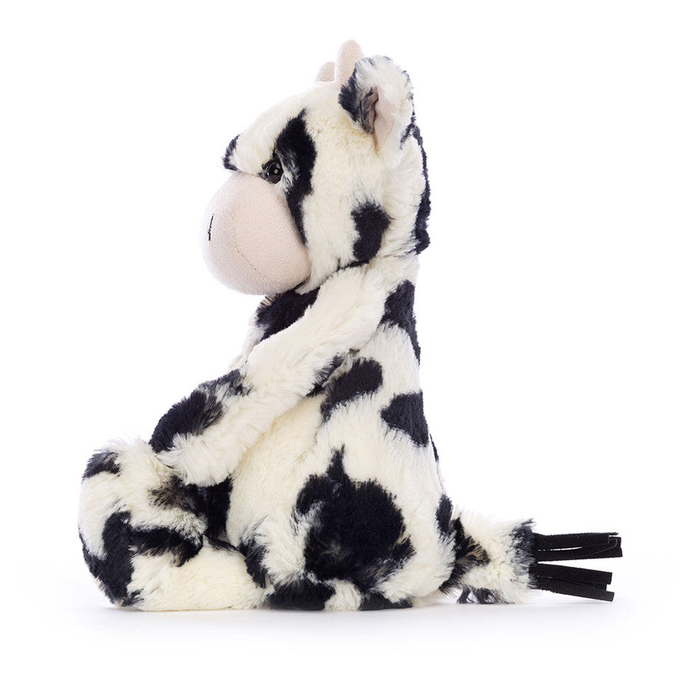 Bashful Calf | Medium