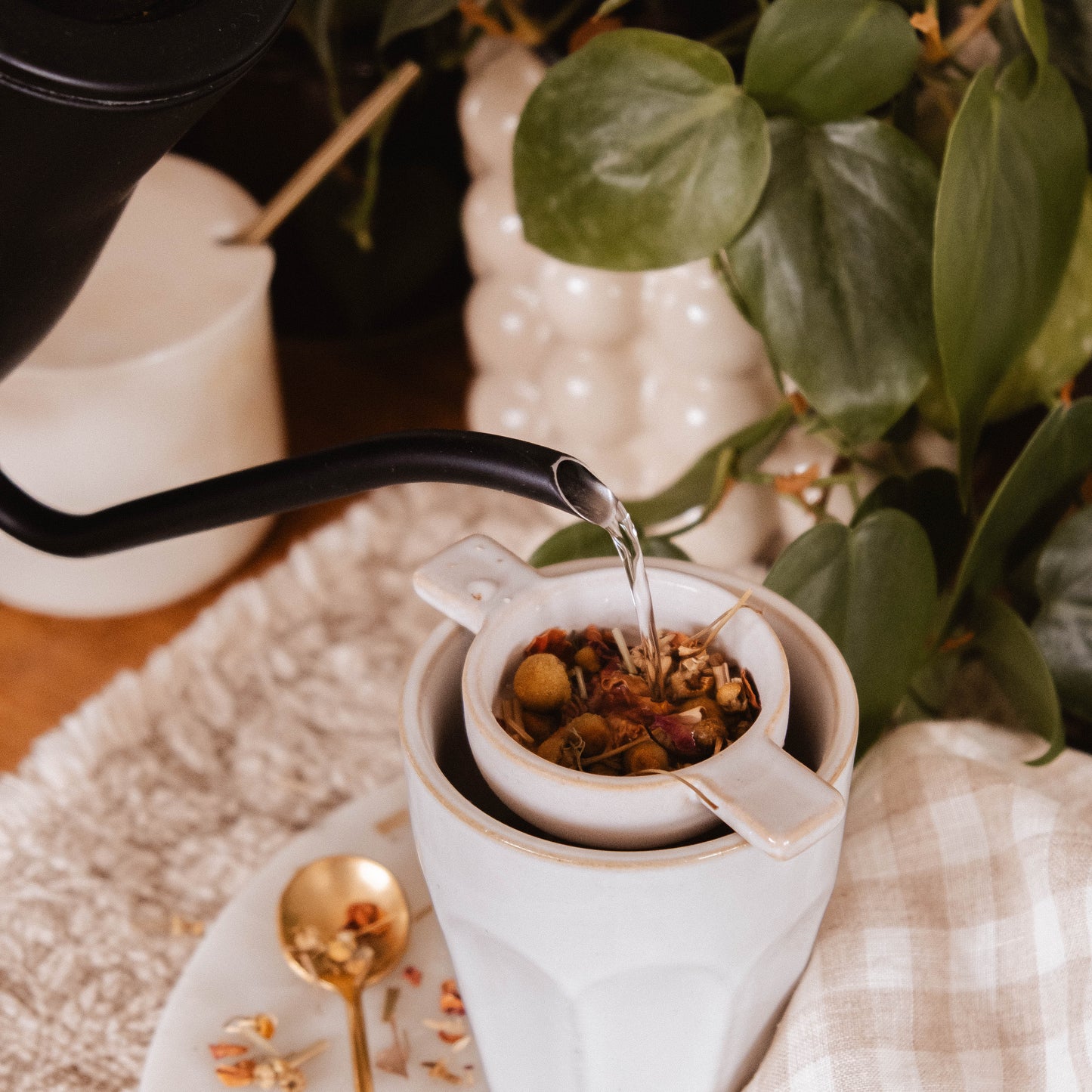 Tea being poured into a white teacup with a checkered cloth and plant in the background