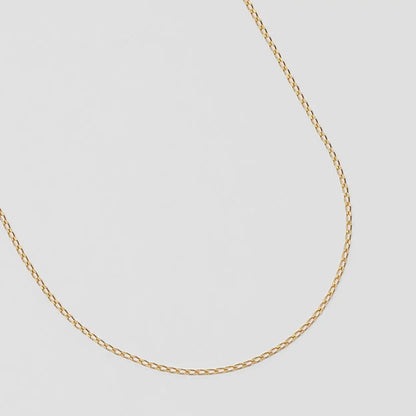 Elongated Curb Chain in Gold from Wolf Circus, Closeup