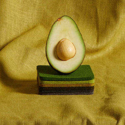 Bierfilzl Merino Square Coaster | Multi 4pc Forest