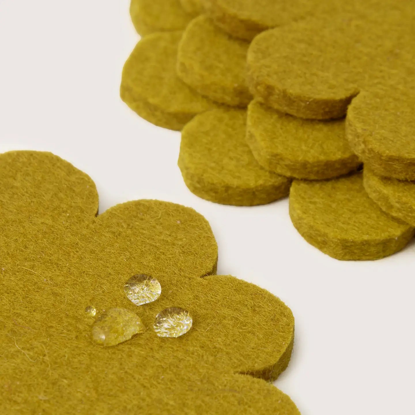 Bierfilzl Merino Coaster | Multi 4pc | Dandelion