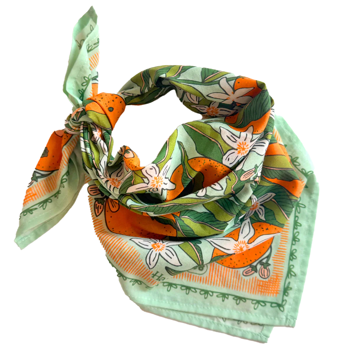 Handker Bandanas No. 146 Zoe bandana tied