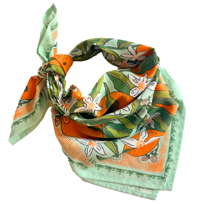 Handker Bandanas No. 146 Zoe bandana tied