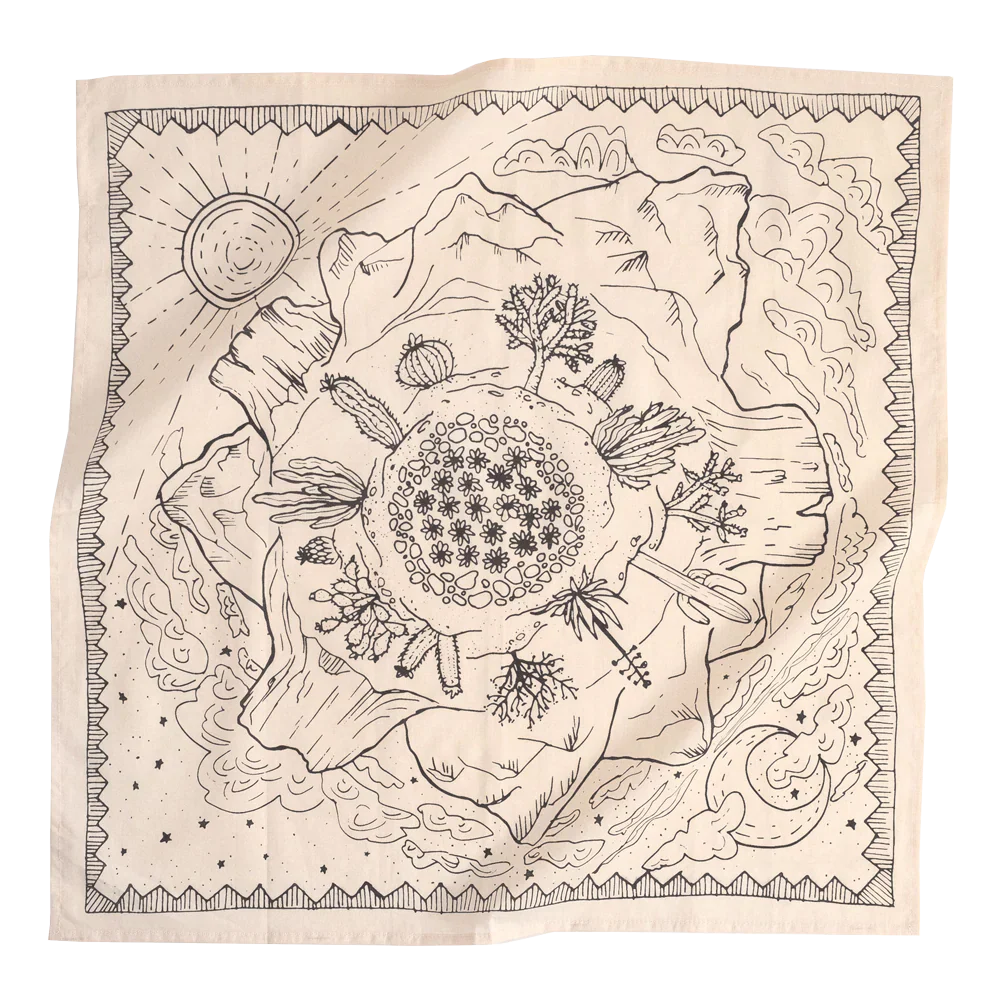 Handker Bandanas Original Bandana 22" in No. 068 Desert print, flat lay