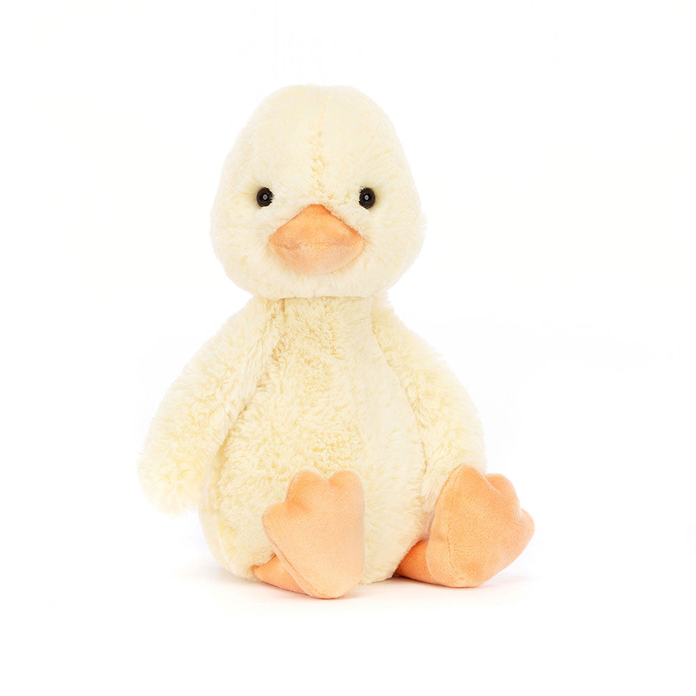 Bashful Duckling | Medium