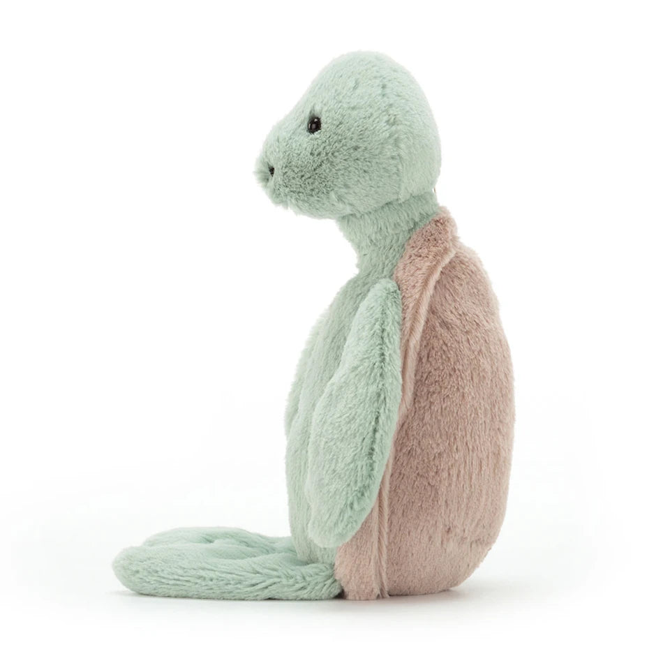 Bashful Turtle | Medium