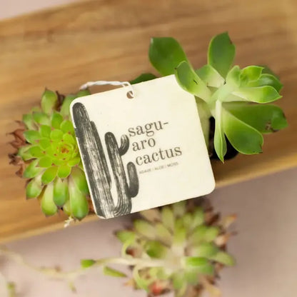 Saguaro cactus car freshener next to succulent plants on a wooden shelf