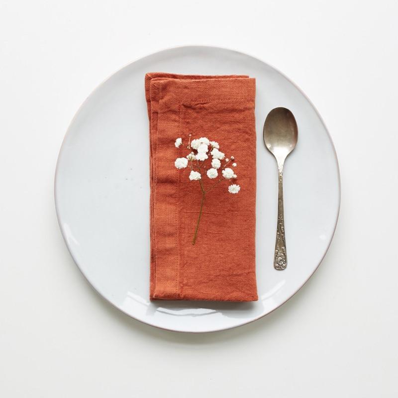 Linen Tales linen napkin in baked clay